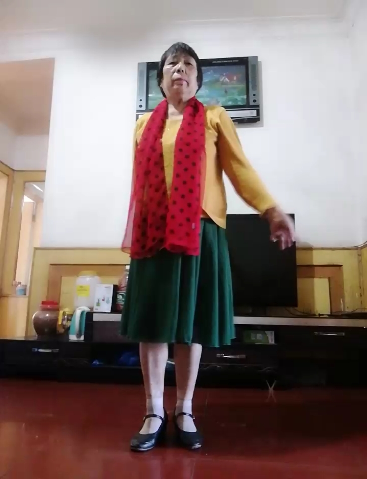 糖豆广场舞电脑客户端糖豆广场舞电脑版怎么下载安装-第2张图片-太平洋在线下载