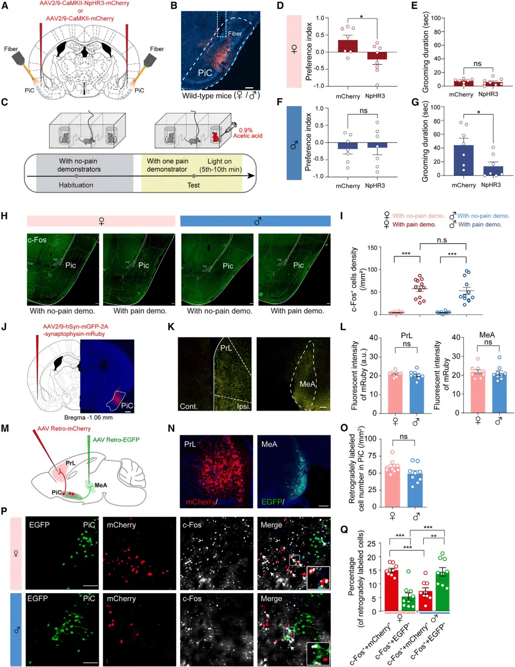 neuron安卓版neuron软件下载