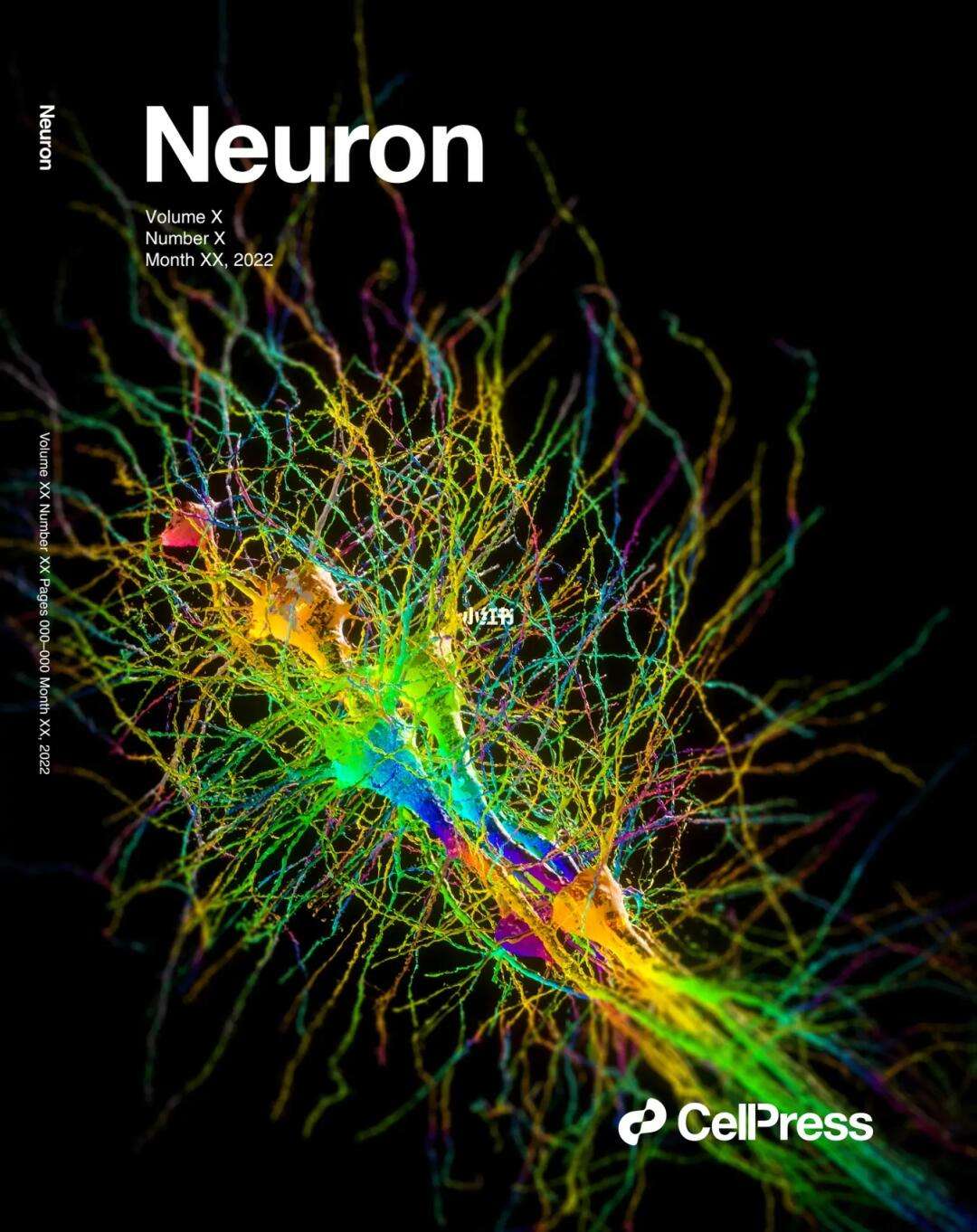 neuron安卓版neuron软件下载-第2张图片-太平洋在线下载