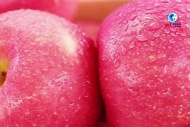 苹果手机CHA版苹果手机创建appleid-第2张图片-太平洋在线下载