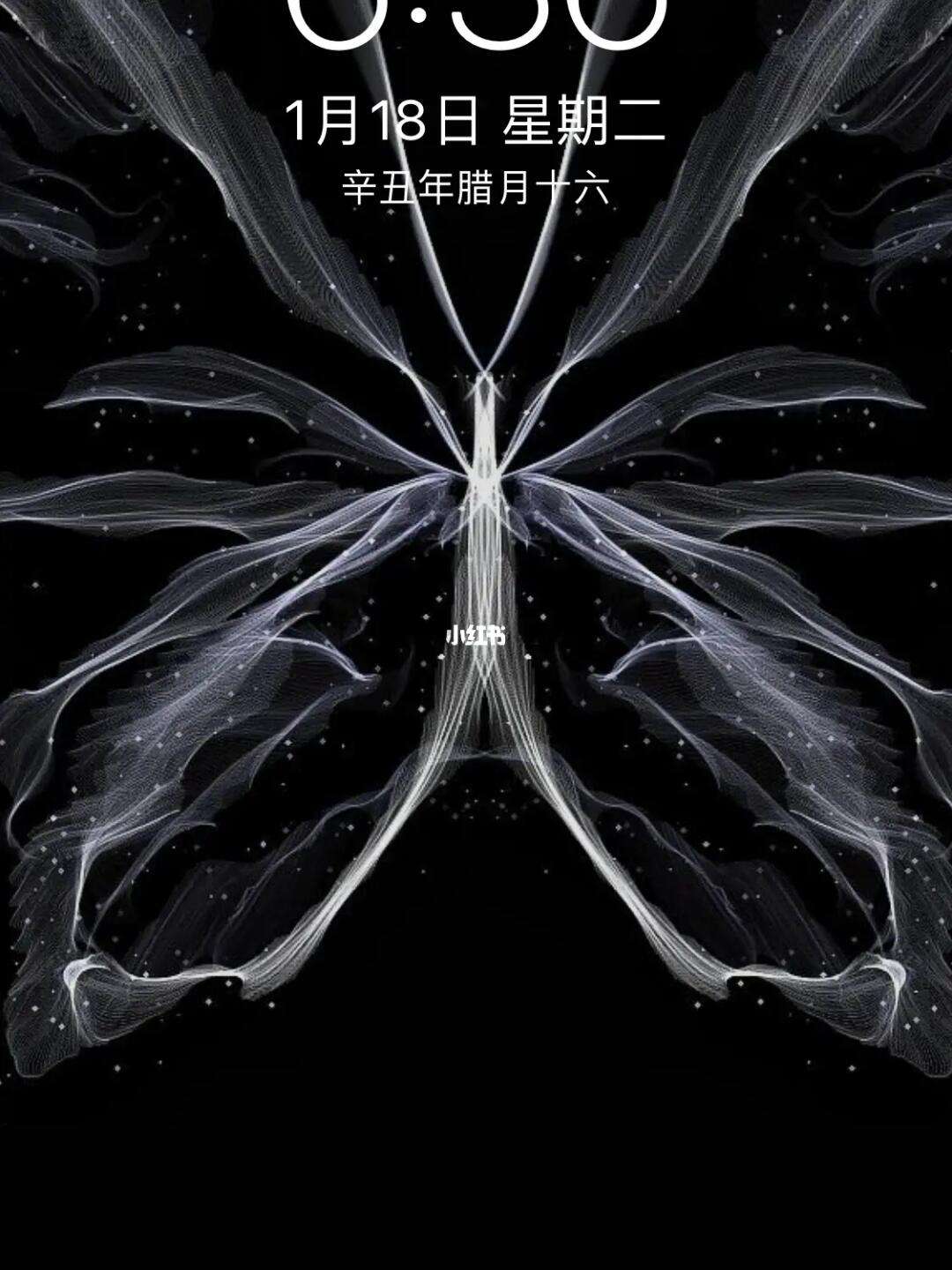 手机版壁纸软件苹果版免费免费主题壁纸app软件苹果手机-第2张图片-太平洋在线下载