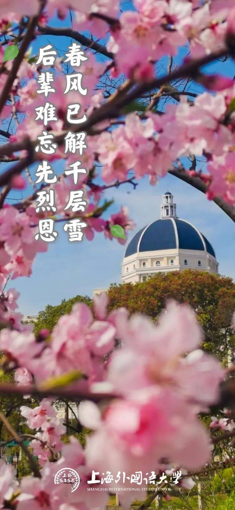 微言教育客户端微语APP怎么样-第2张图片-太平洋在线下载