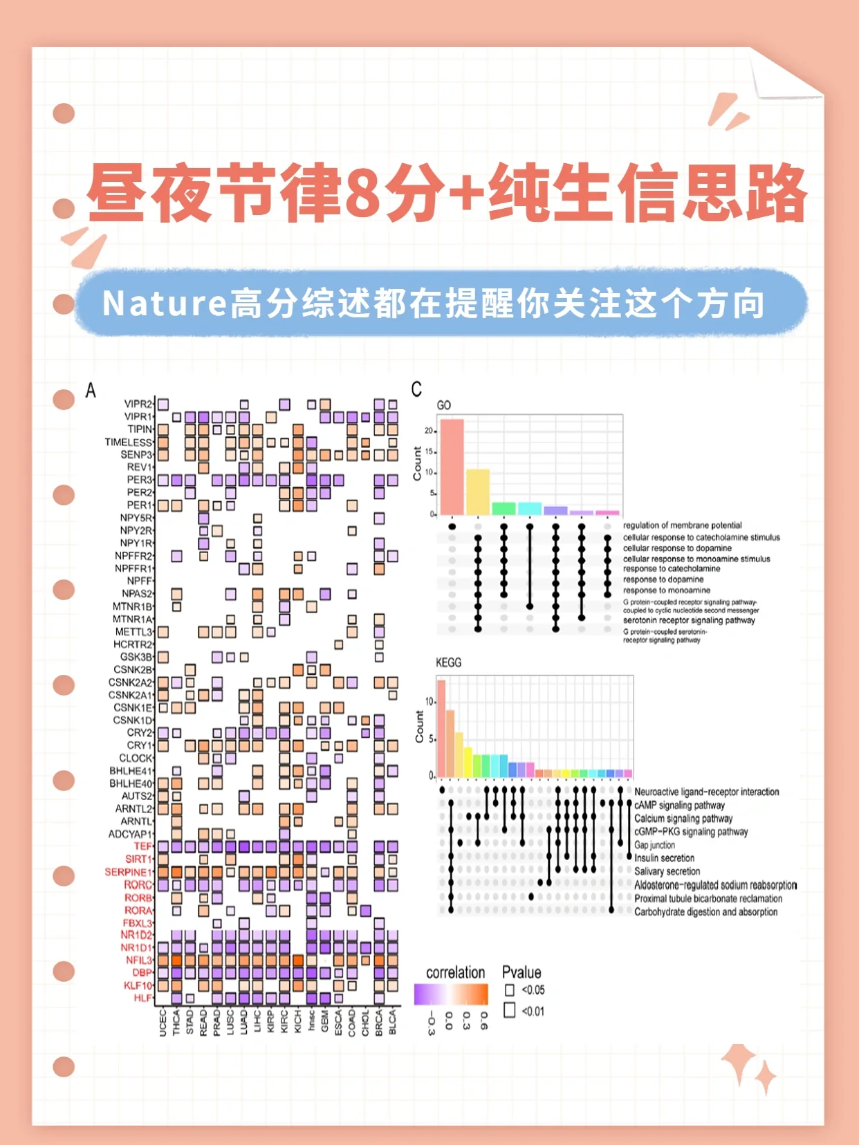 生理节律安卓版心跳回忆1汉化安卓手机版