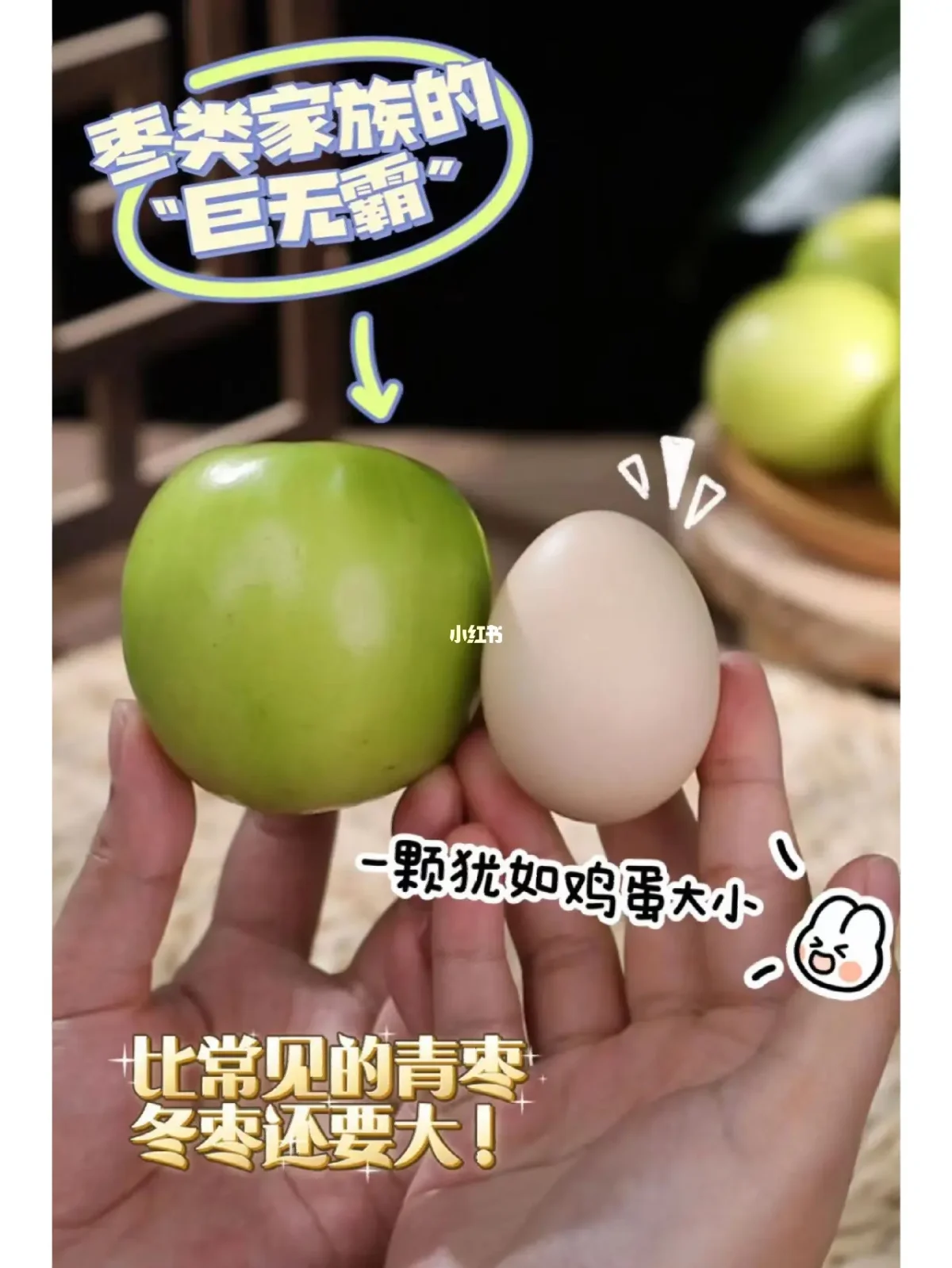 vc版的苹果苹果v版什么意思-第2张图片-太平洋在线下载