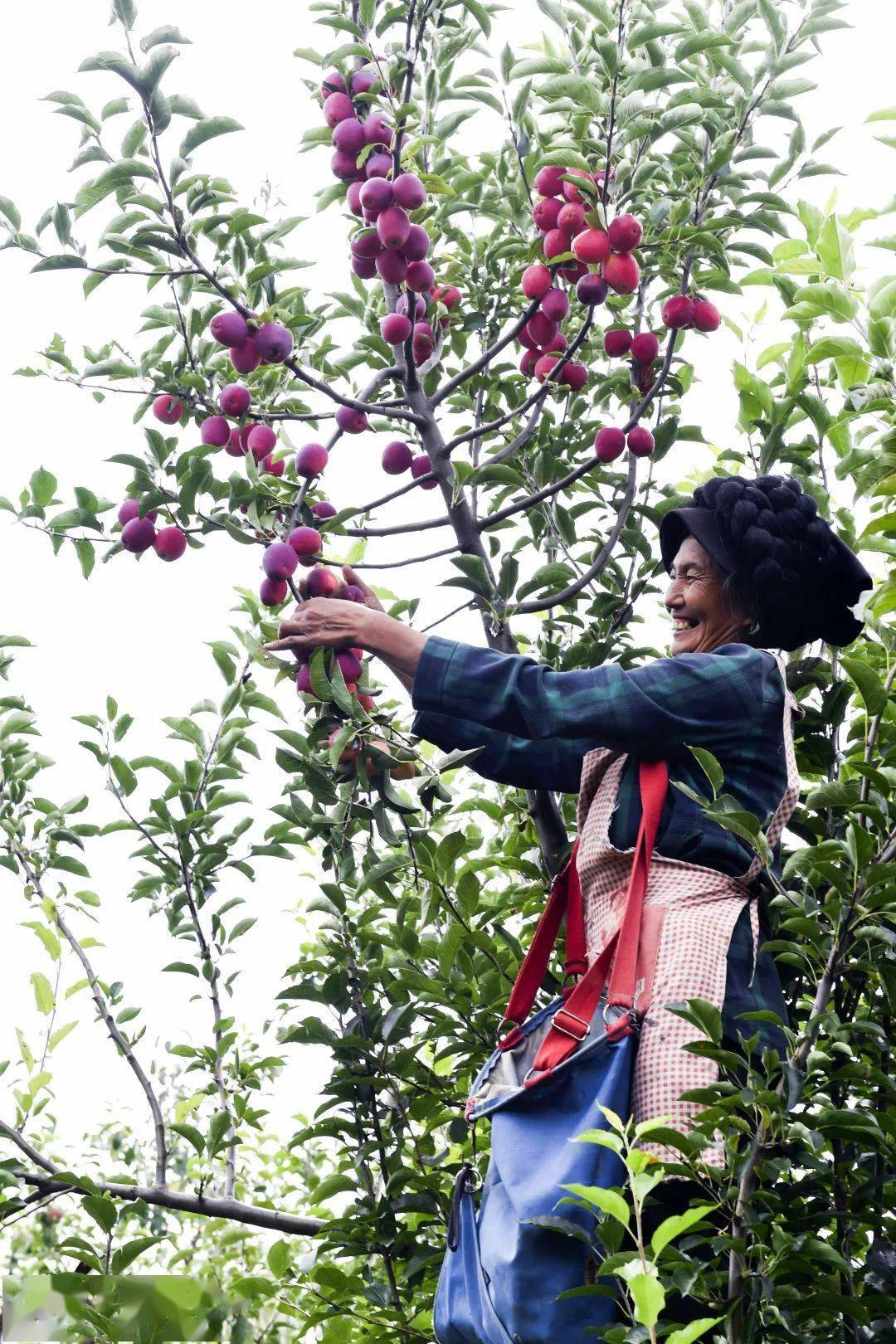 梦想直苹果版下载梦想城镇ios破解版下载-第1张图片-太平洋在线下载