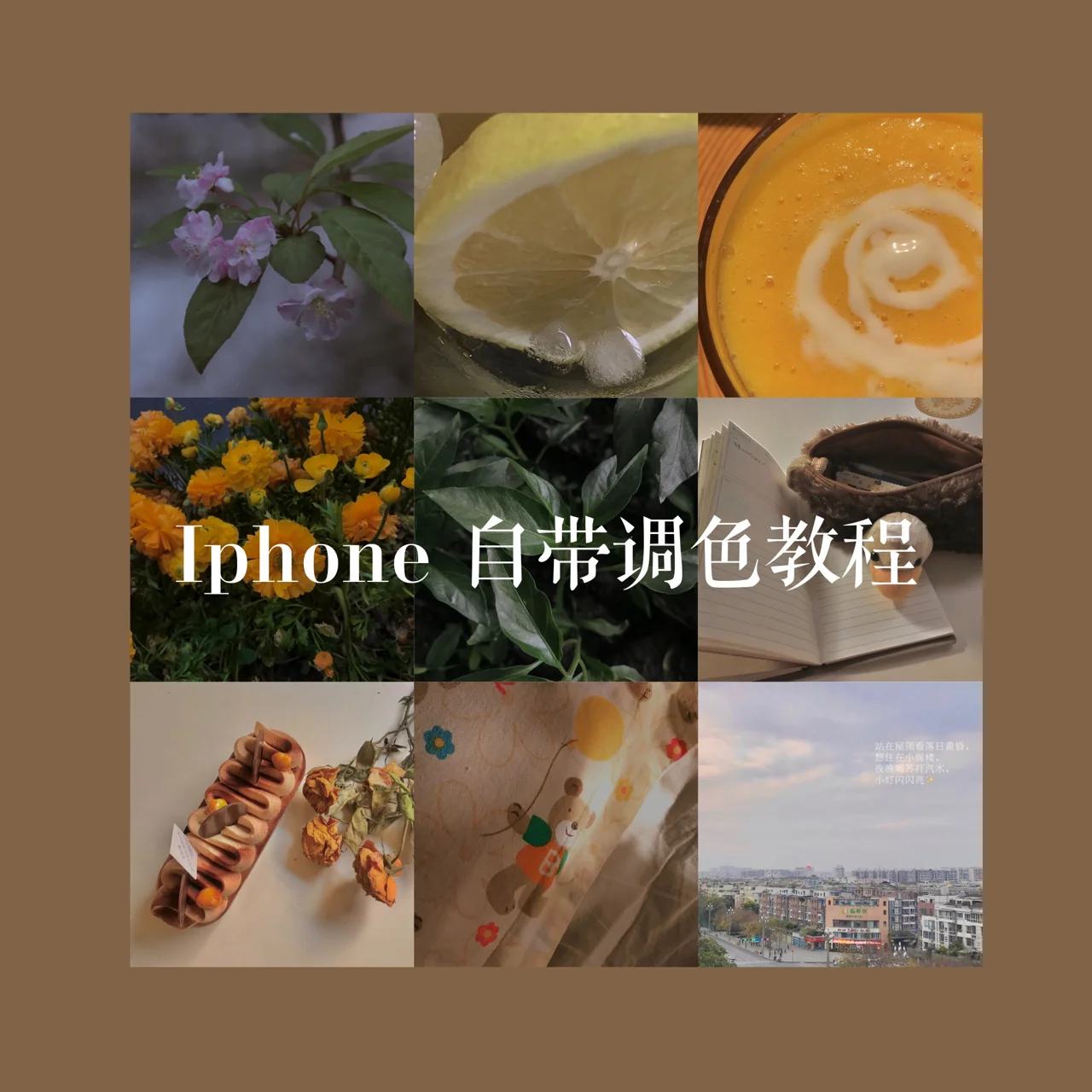 手臂滤镜调色教程苹果版苹果手机色彩滤镜怎么调好看-第2张图片-太平洋在线下载